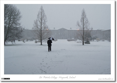 Braving the Snow